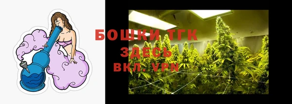 первитин Гусев