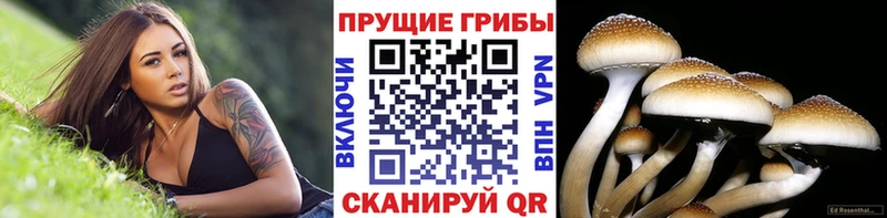 Галлюциногенные грибы MAGIC MUSHROOMS Демидов