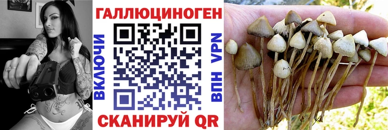 Псилоцибиновые грибы мухоморы OMG как войти Демидов